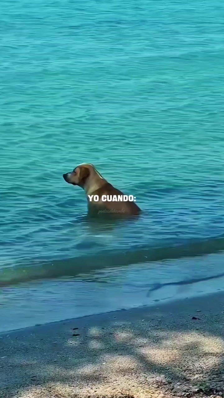 @poetasdehumbe