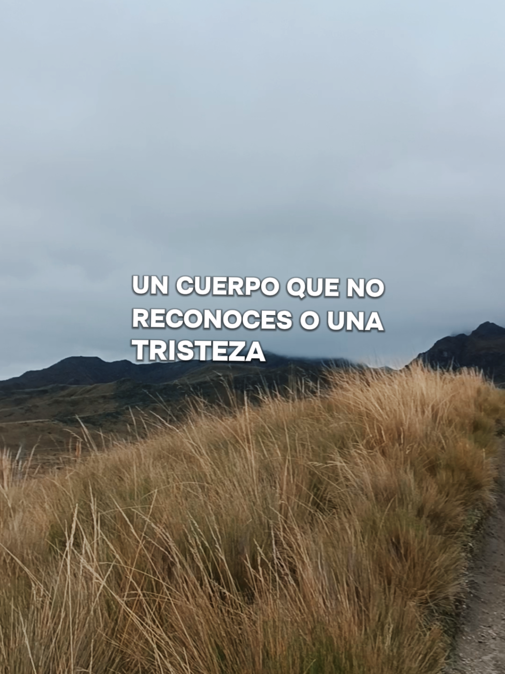 @Ɩıʑ ʄıɛཞཞơ