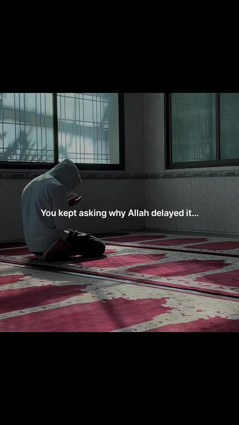 @Halal Mohsin