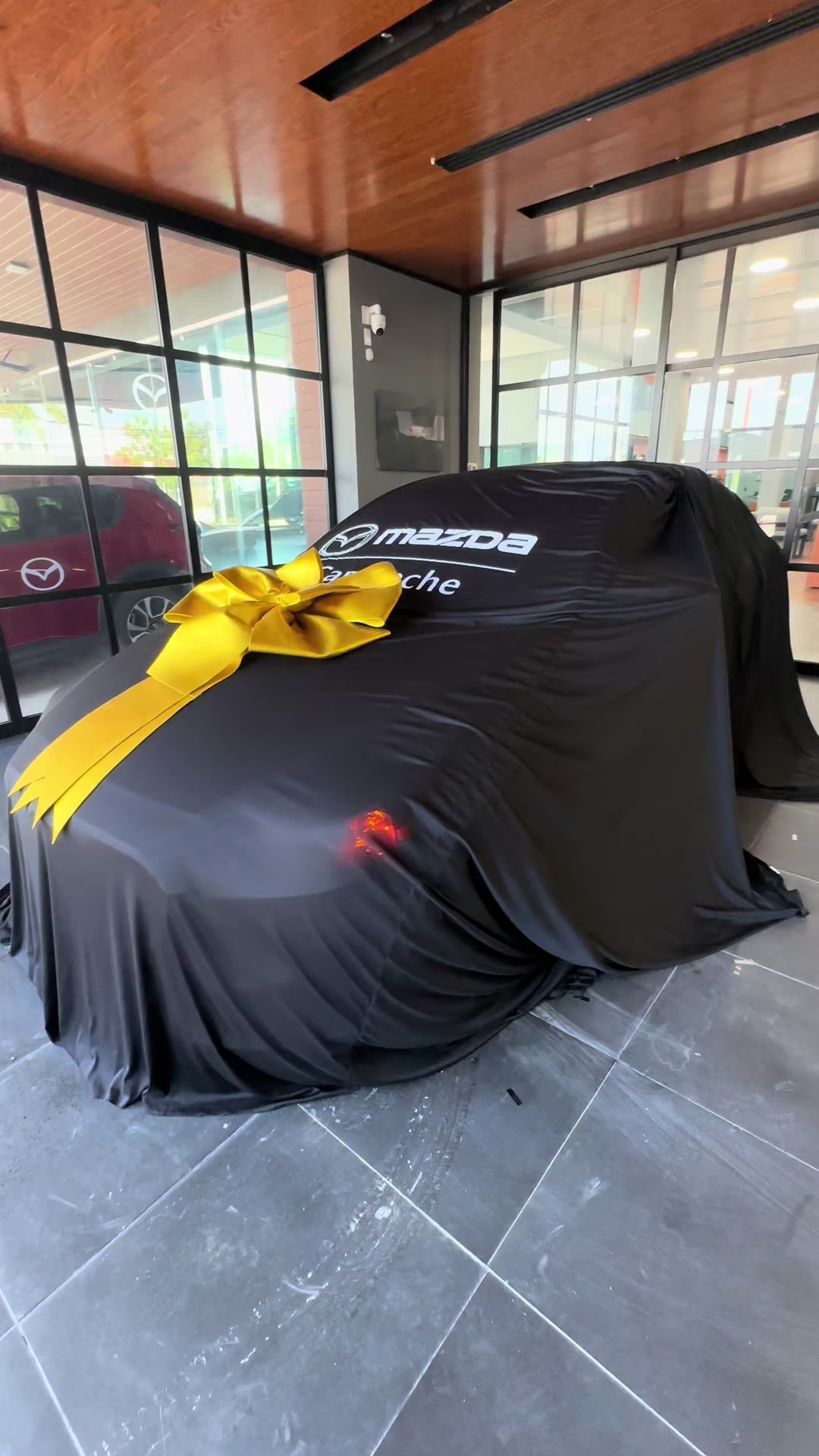 @Edgar tu Asesor Mazda
