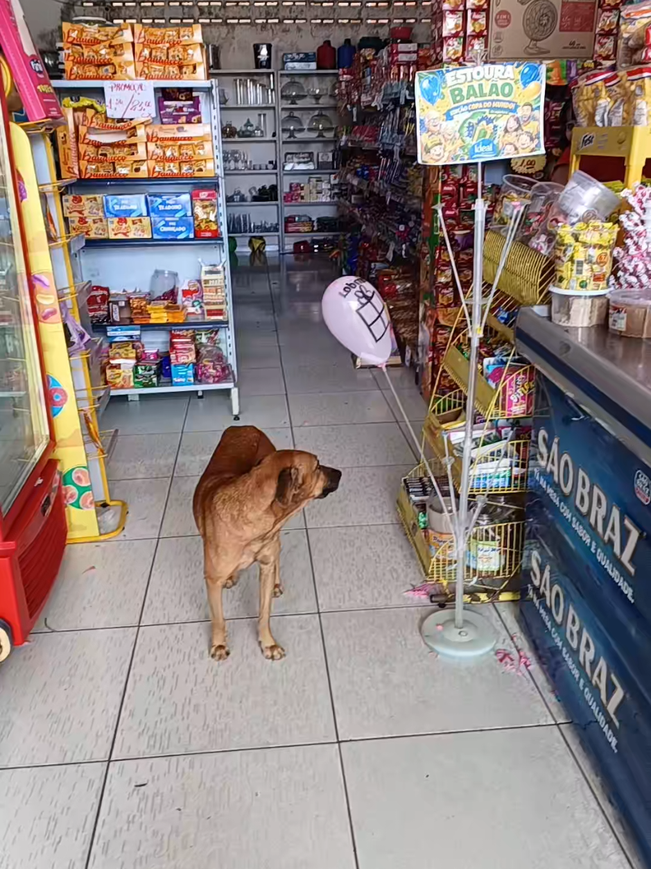 @Mercadinho Ideal