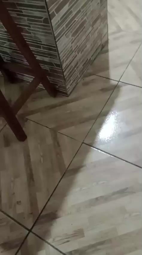 @Bazar_Mundo_Vivi