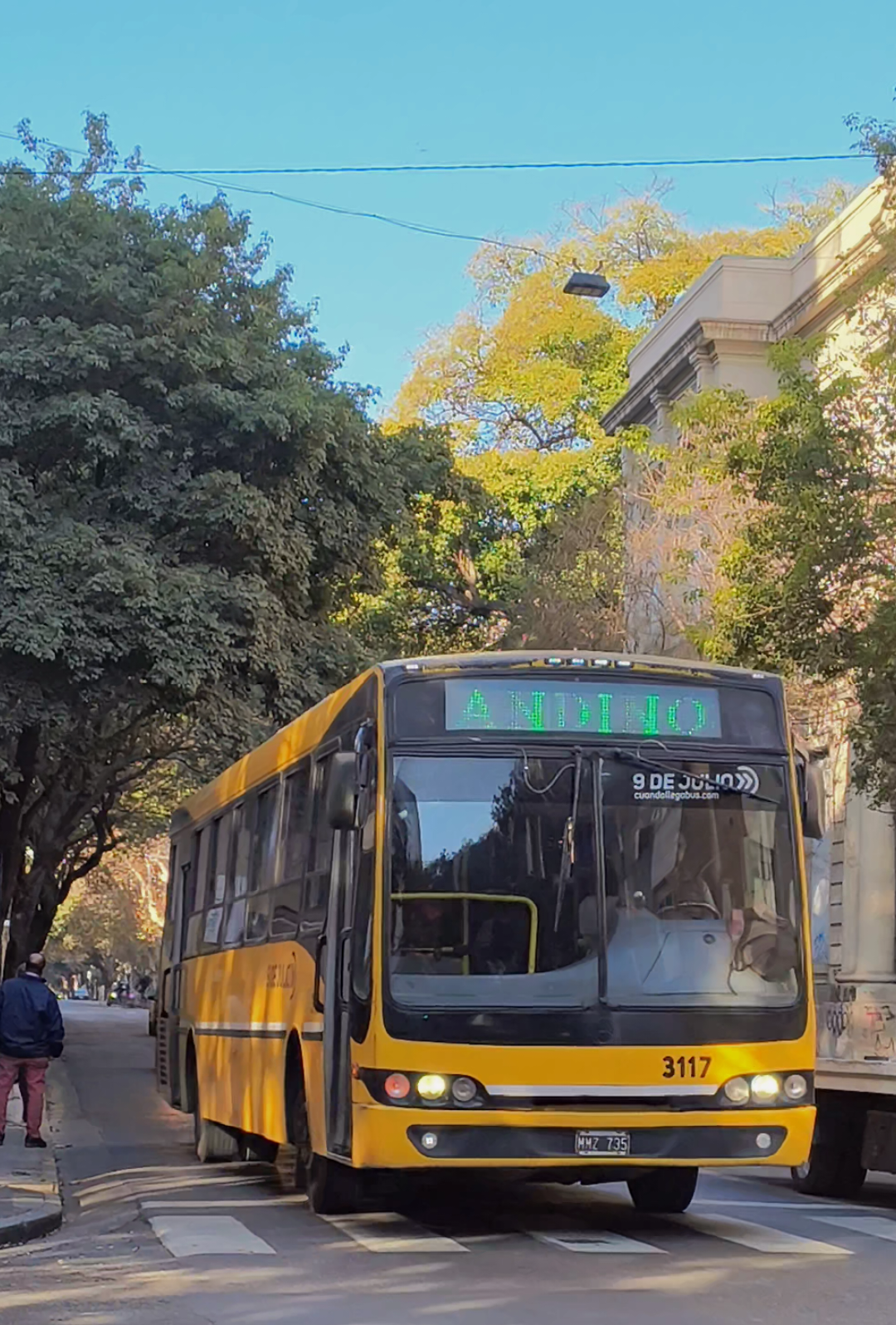 @el de un poco de bondi