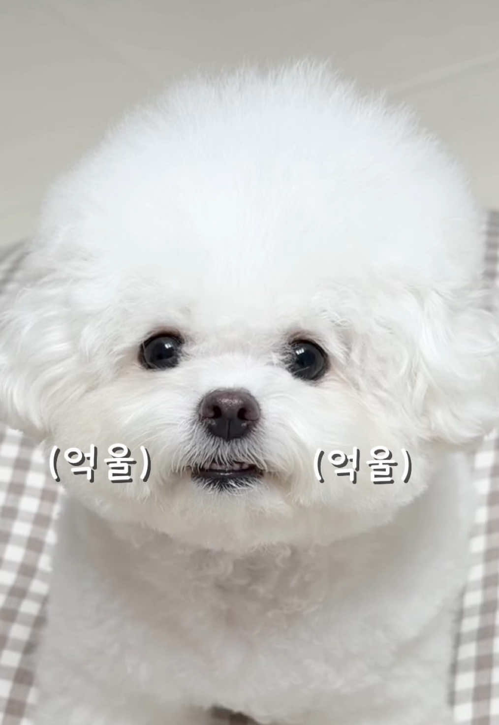 @메리하리