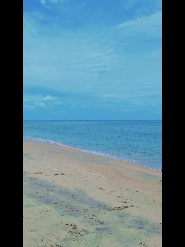 @🌸Am_2536🌸