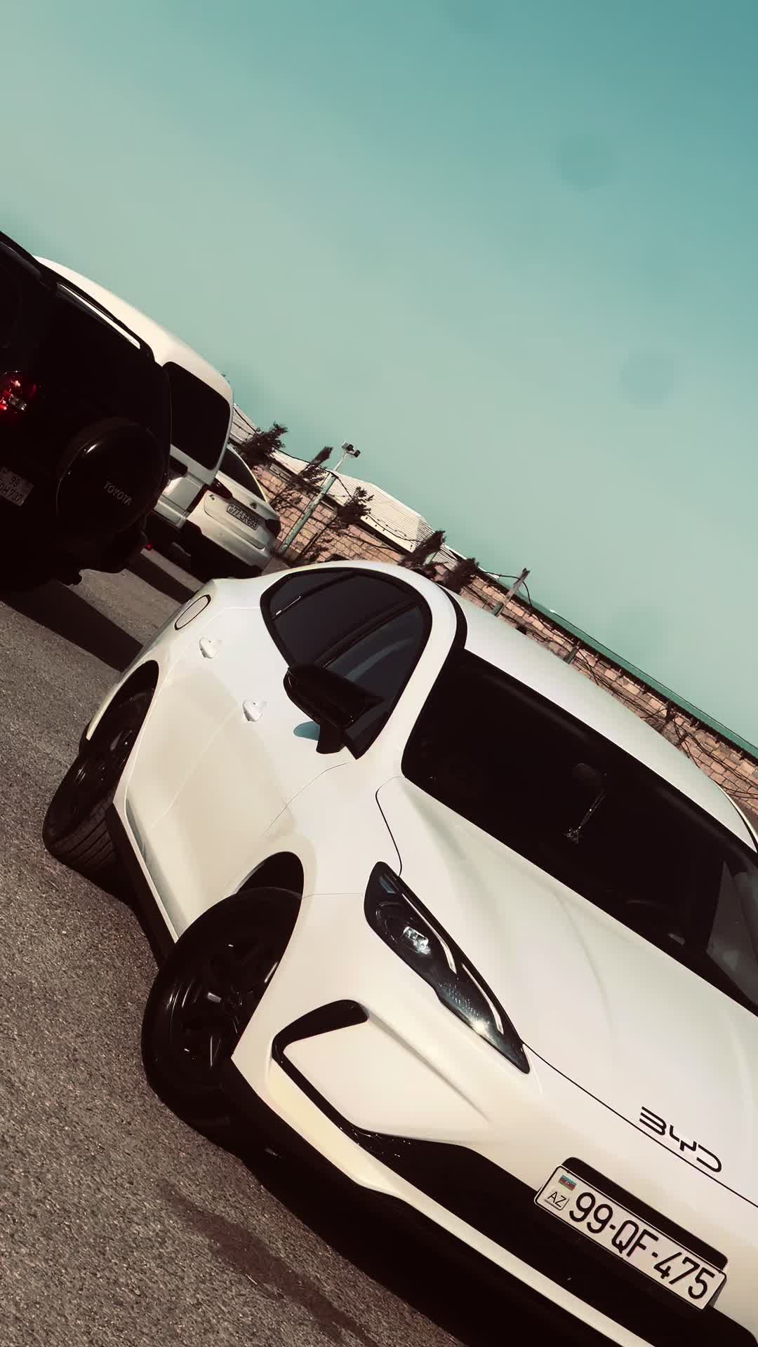@DİMA ✅️