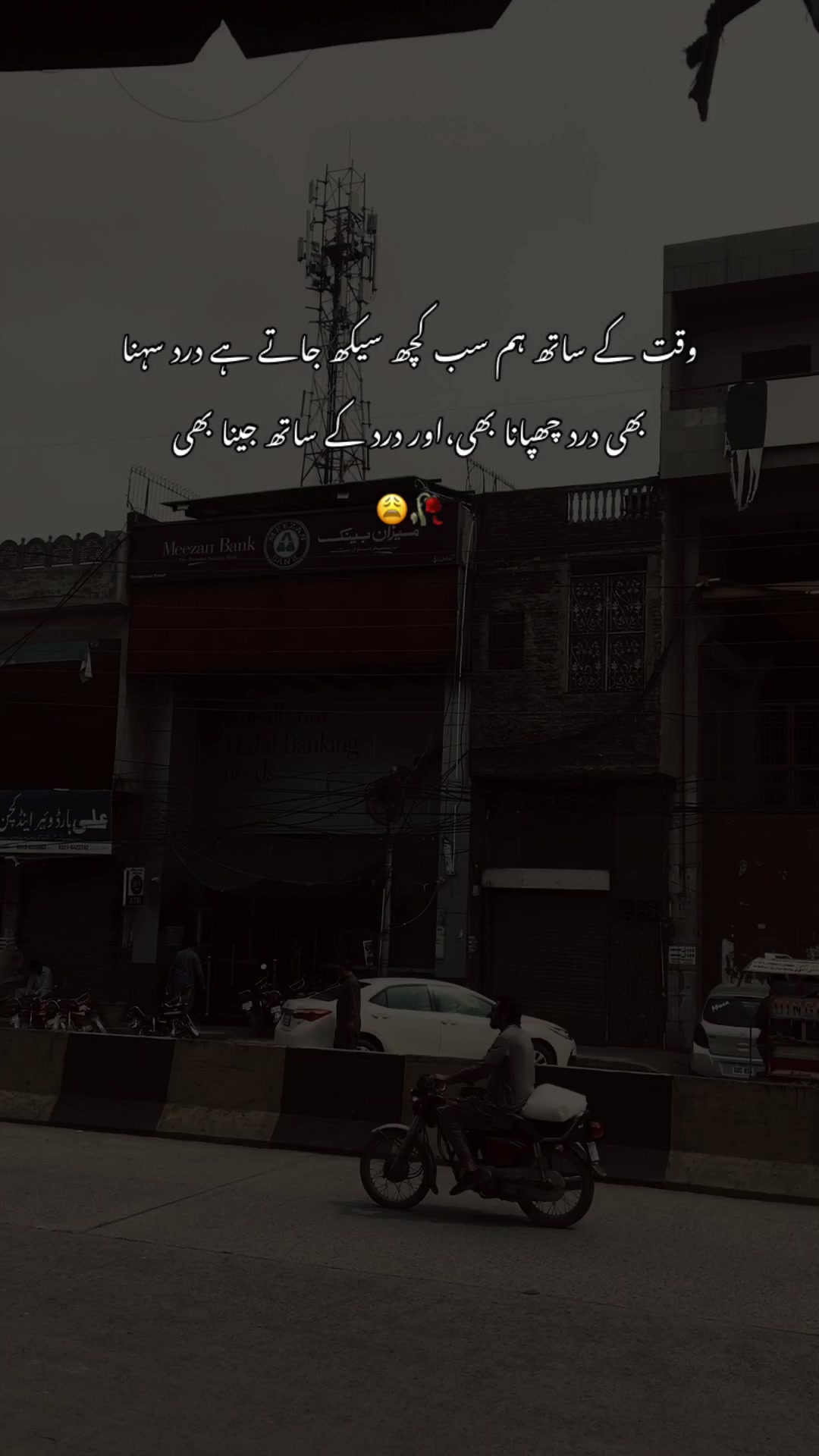 @>پاگل ہو <🦋