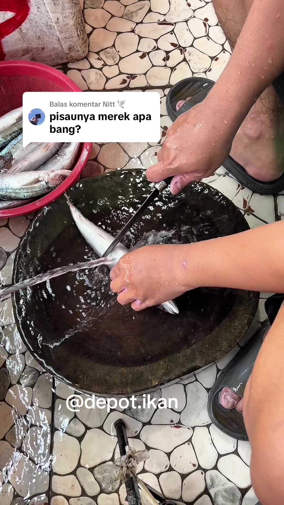 @Depot Ikan