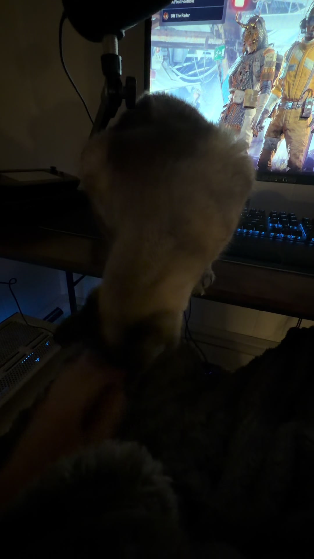 @PepperTheCat