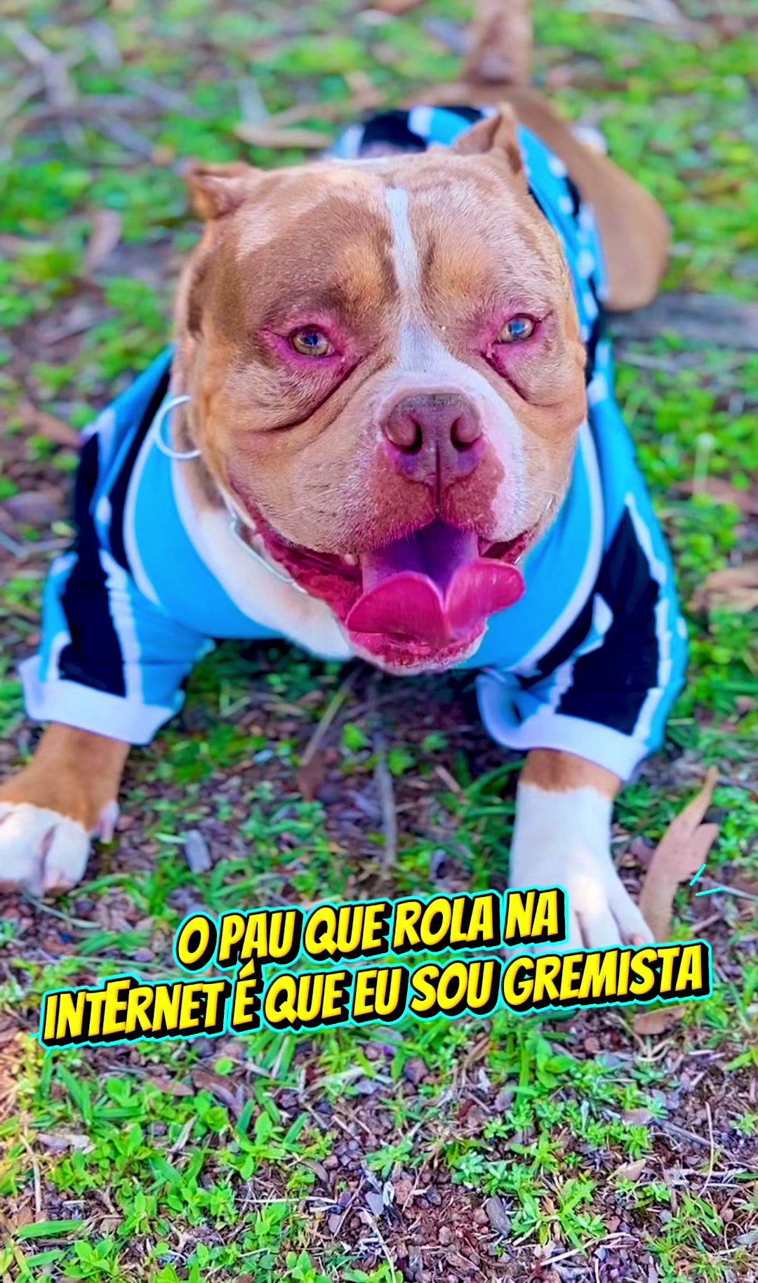 @Lucas e Lucca