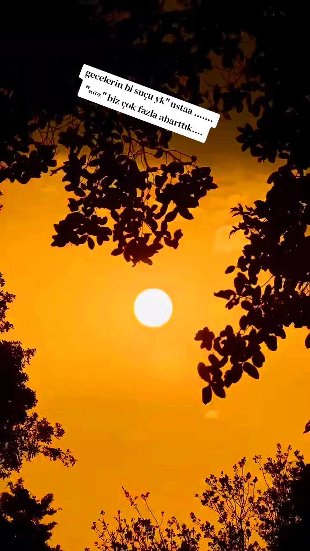 @Yusuf Gün493