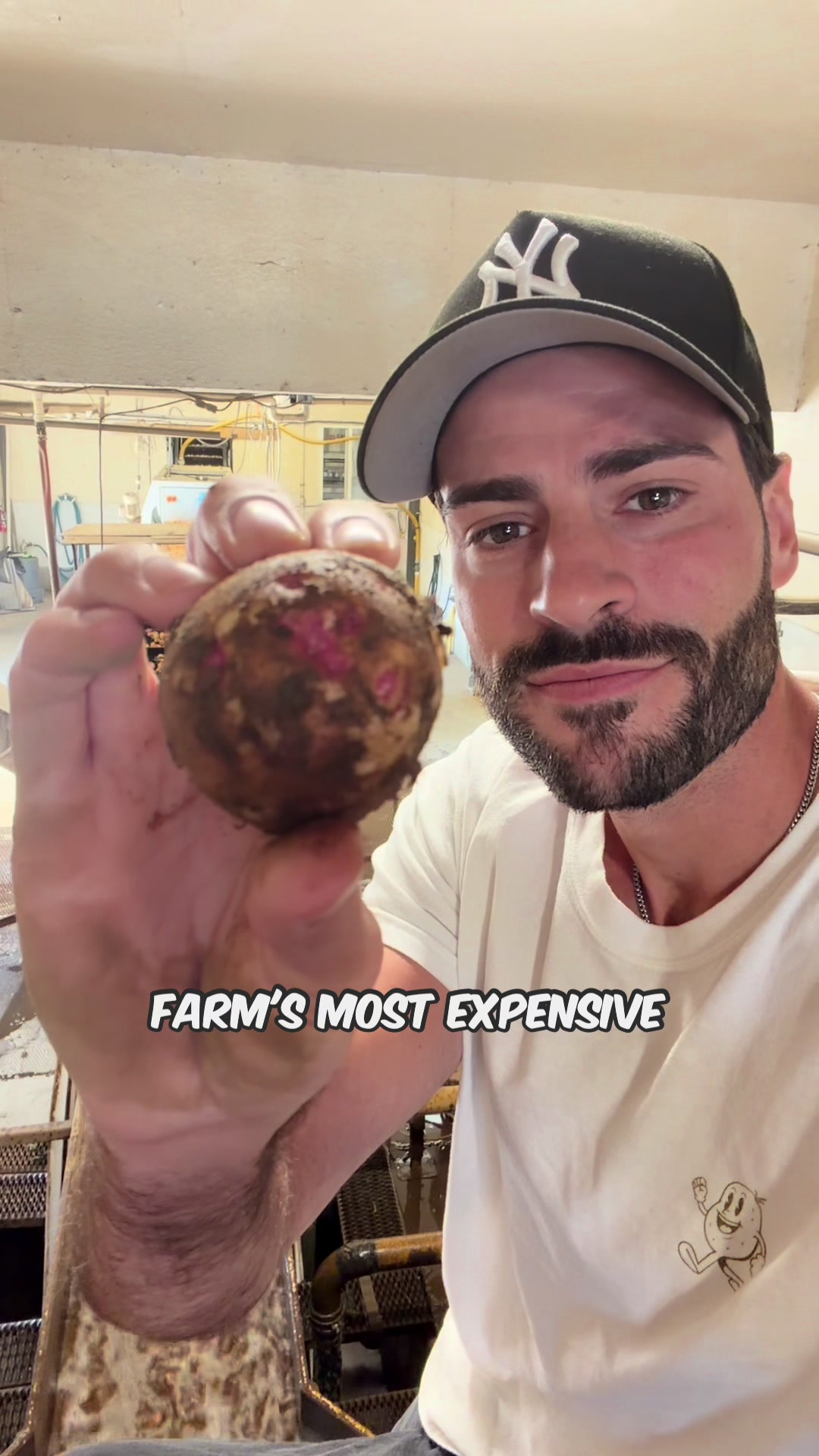 @Potato Ty