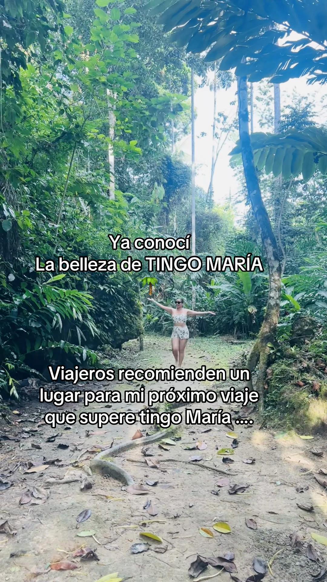 @MILAGROS MEJIA D