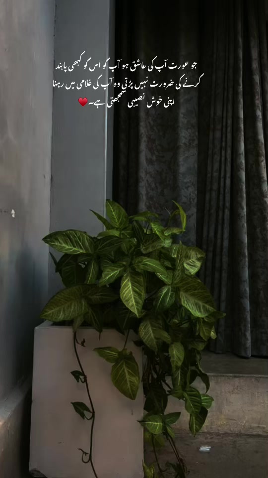 @راجہ خیام ۔💔