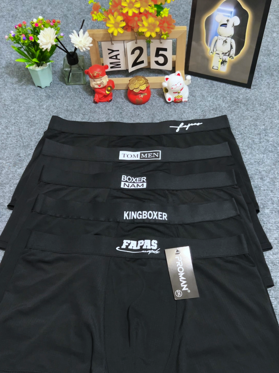 @Mr Âu Boxer
