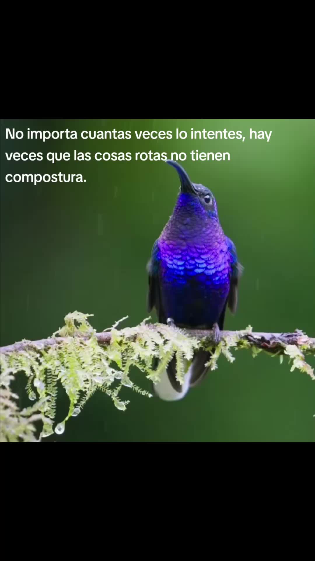 @aida espinoza m.