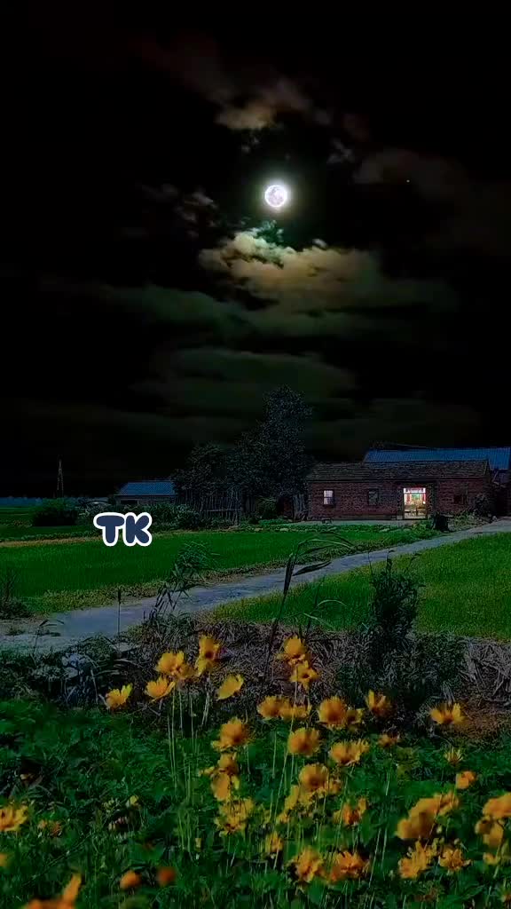 @❤️ TK ❤️