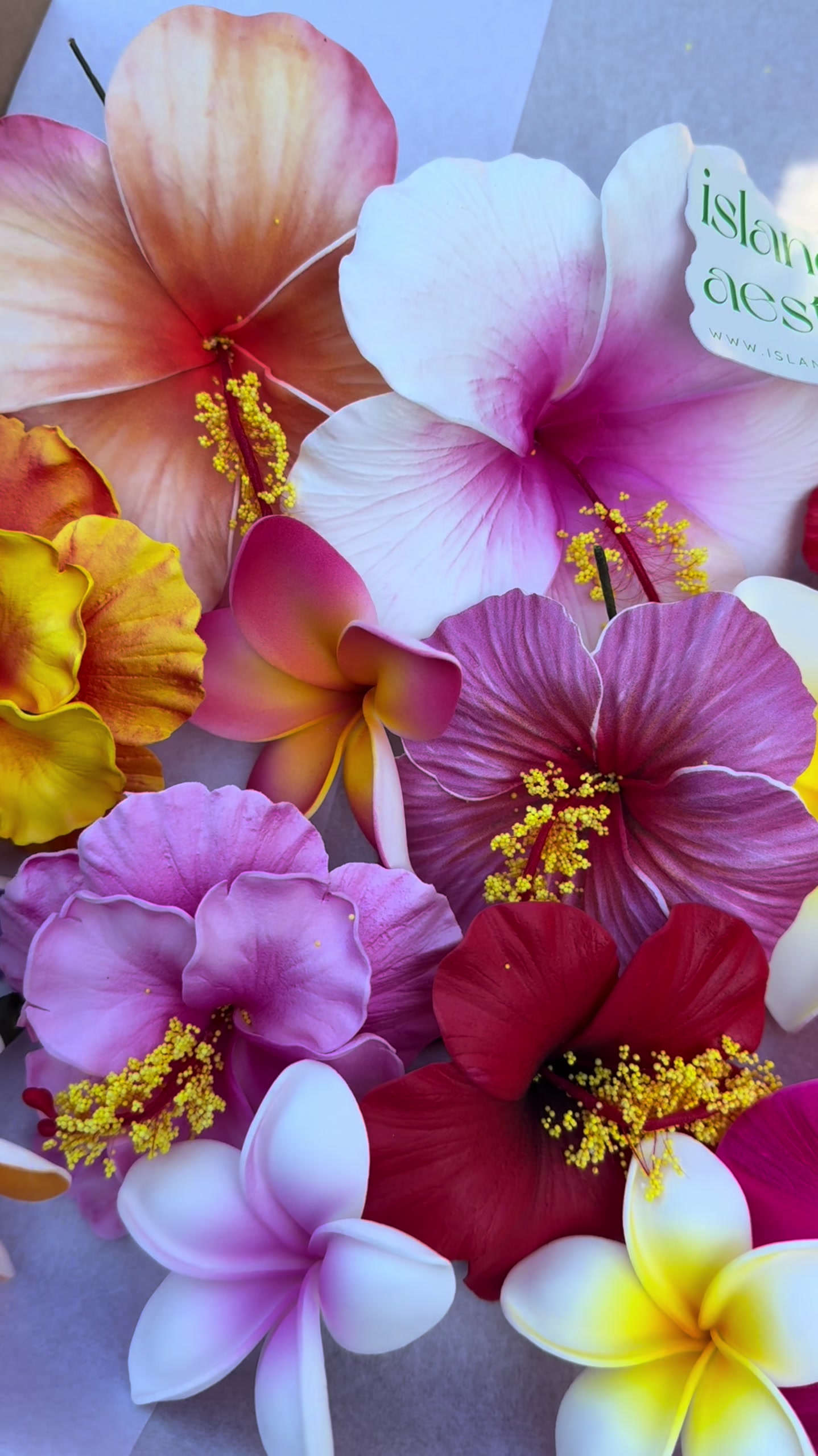 @Island Aesthetica 🌺 Pasifika