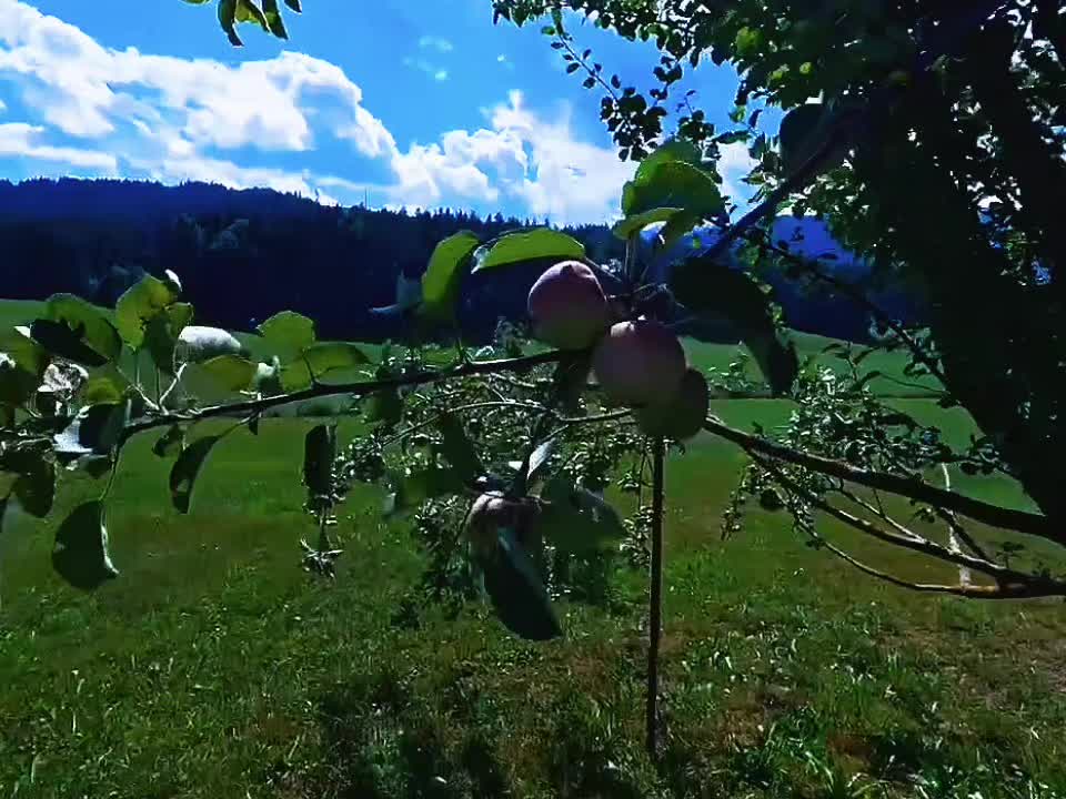 @تـورنـي🇧🇪 メ.