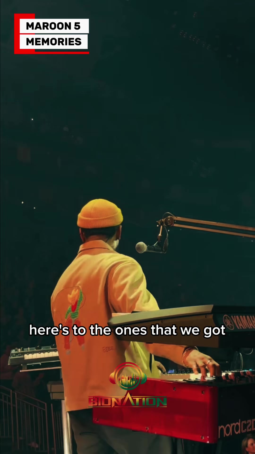 @Bionation Media