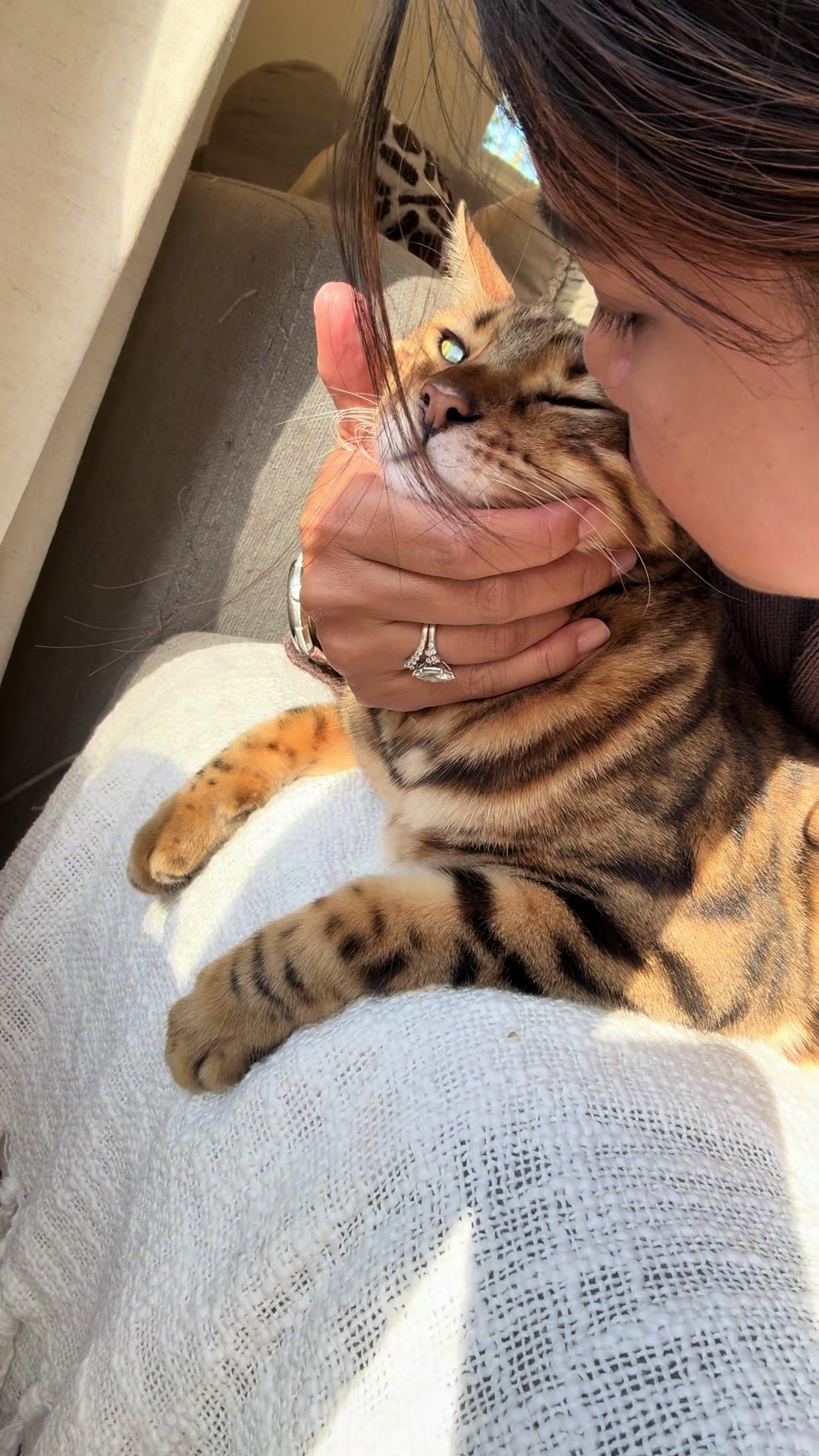 @mitmitcats