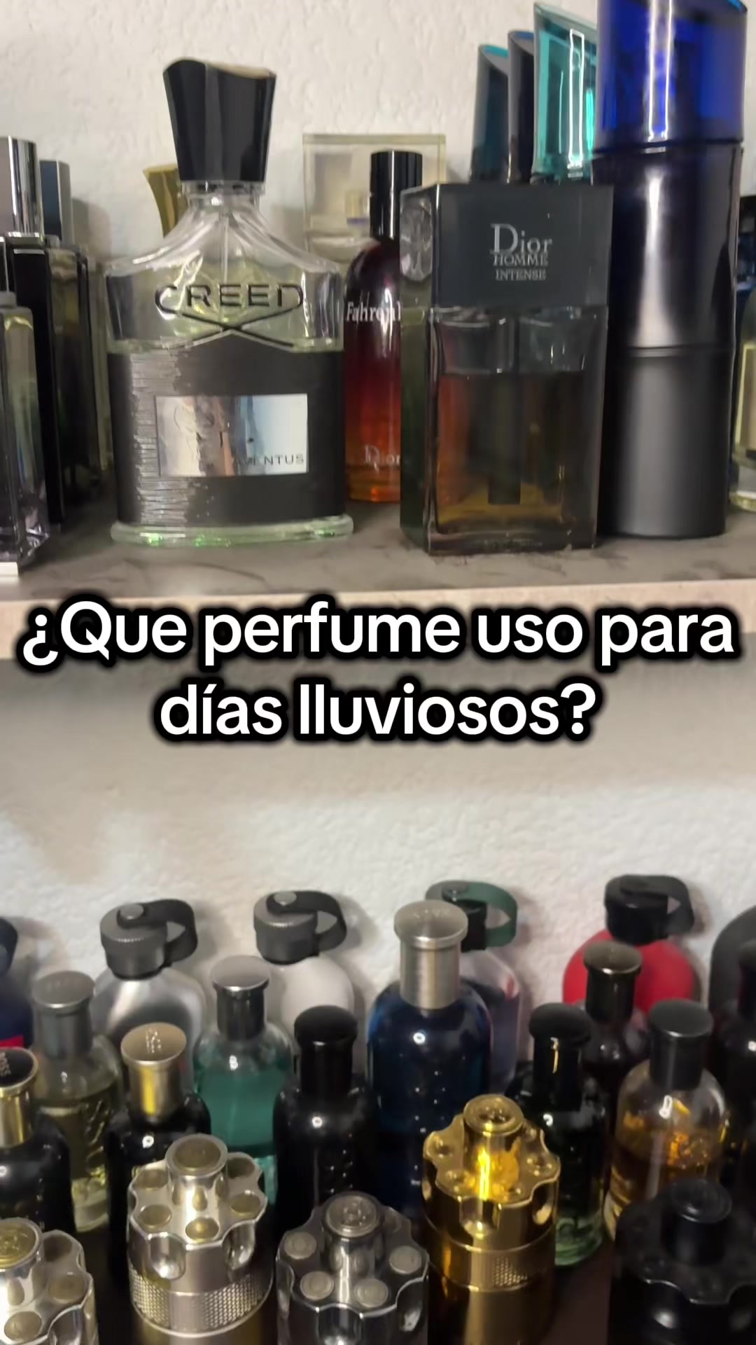 @DonParfum😎