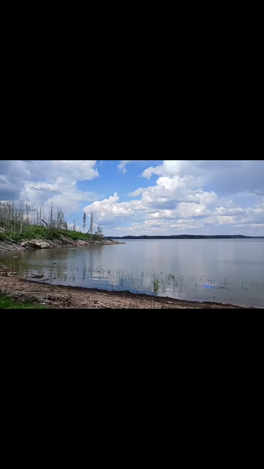 @northerngal