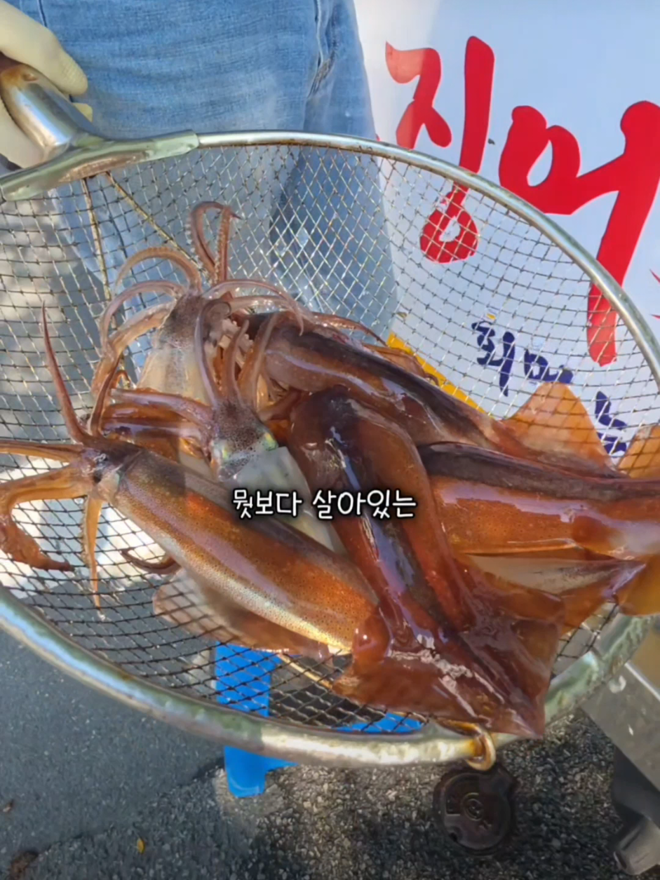 @changwon_wassi