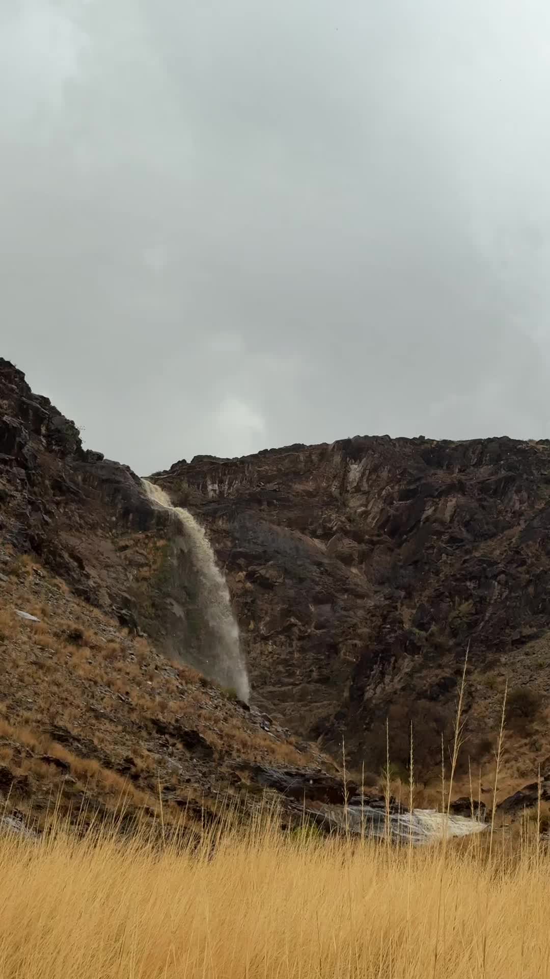 @هداج الغامدي ( رجُل التاريخ )