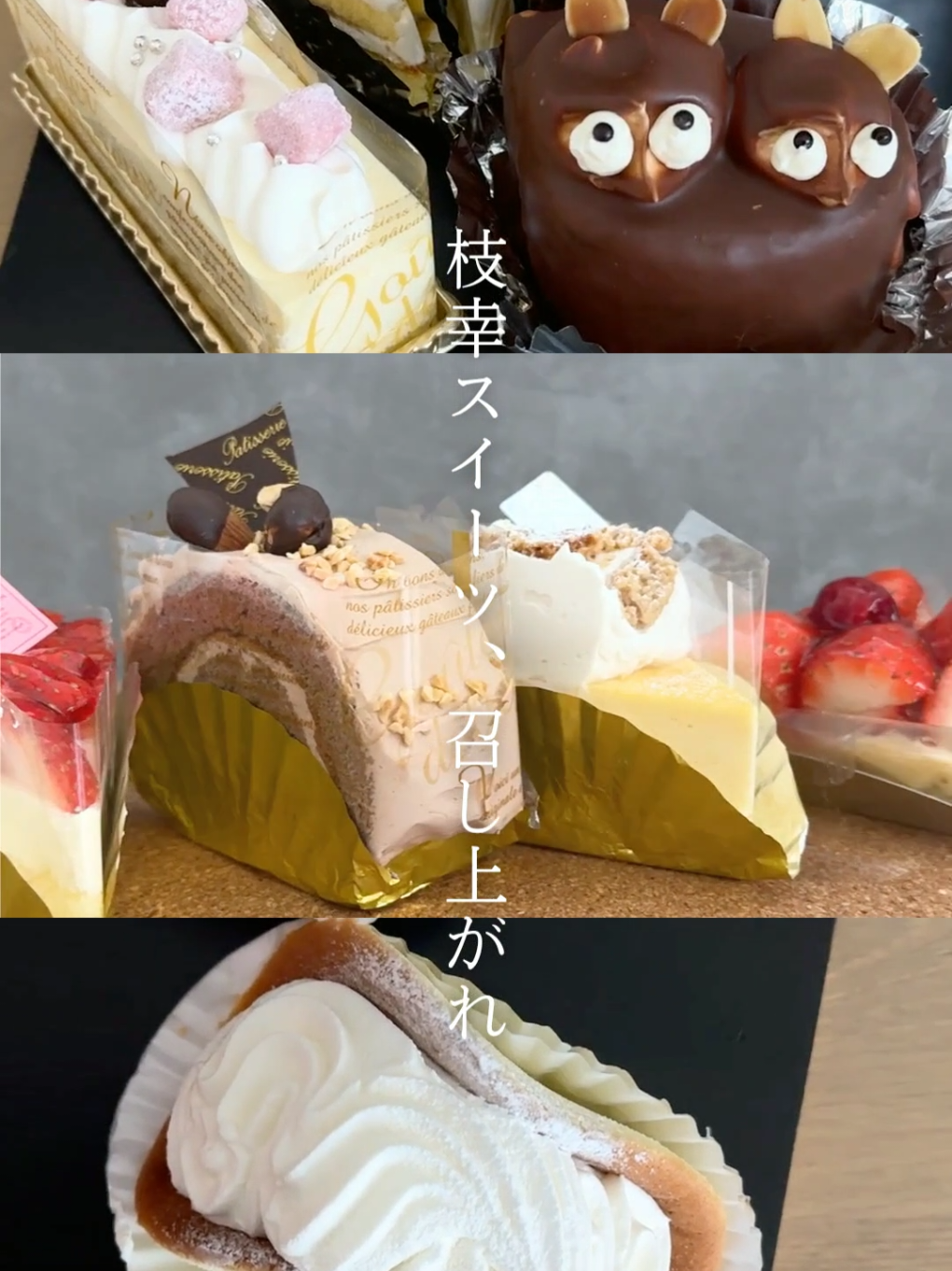 @えさっしーちゃんねる【枝幸町観光協会】