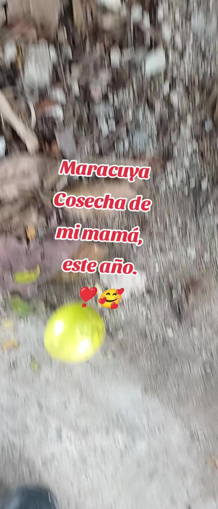 @Joss Elías