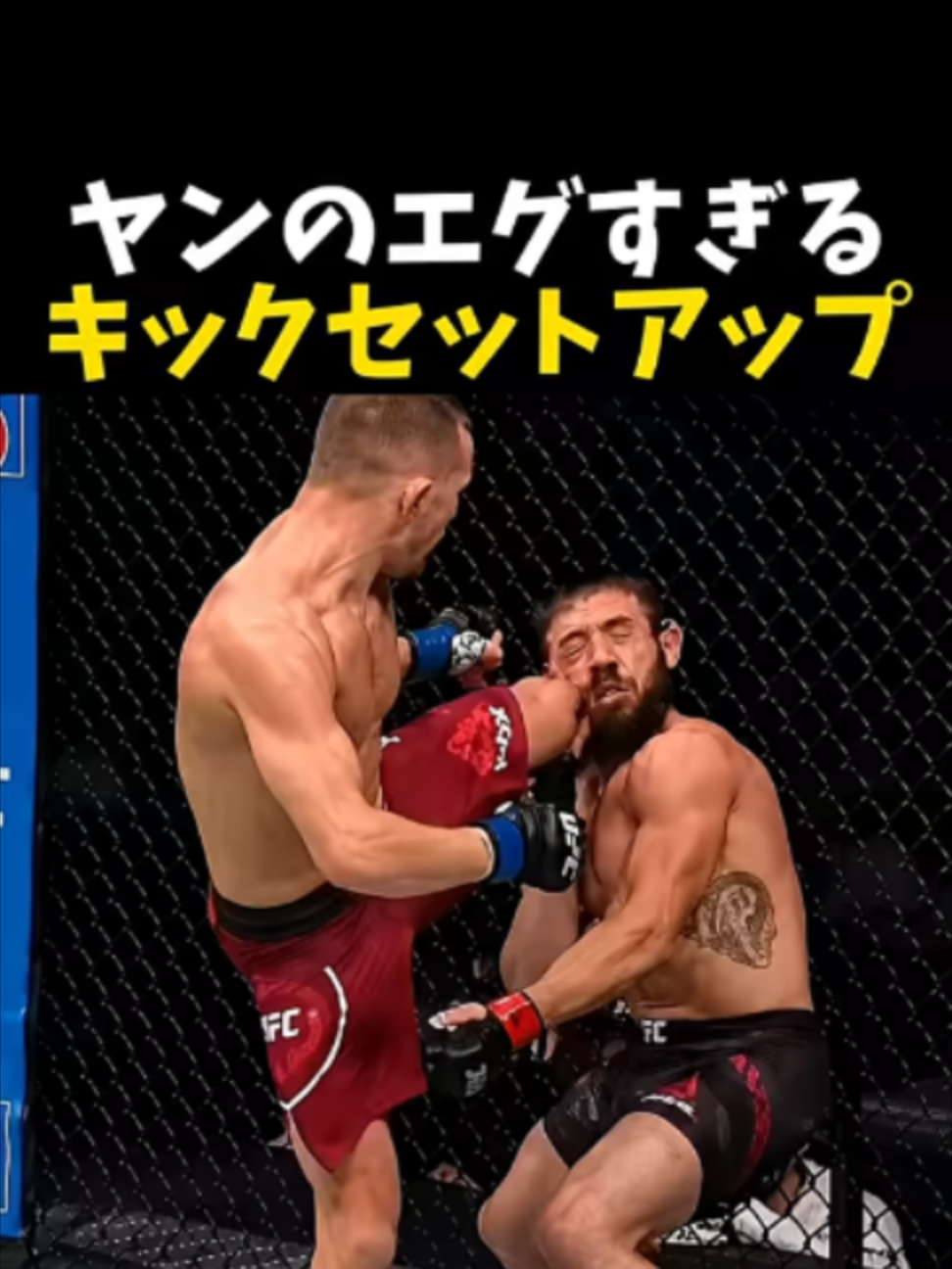 @【公式】 格闘ワン