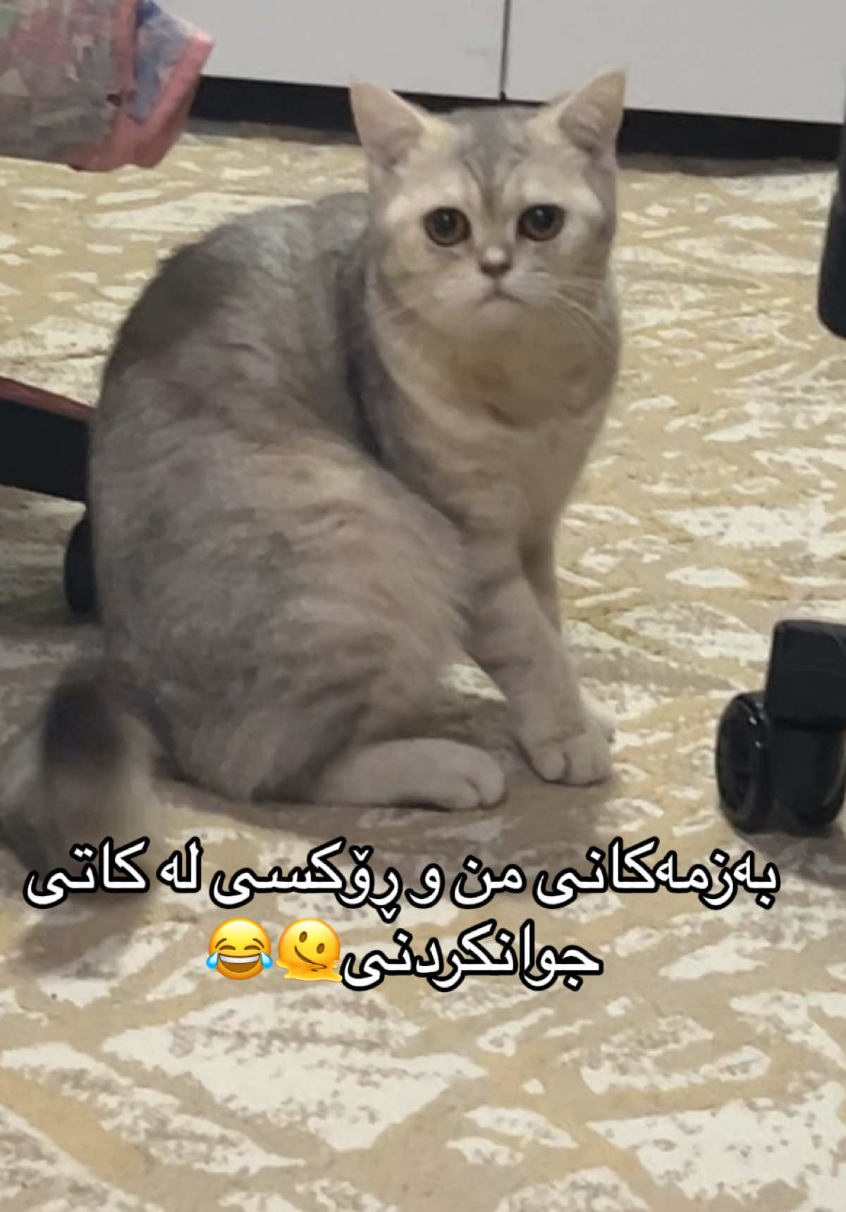 @R&rsquo;&rsquo;🌞♾️