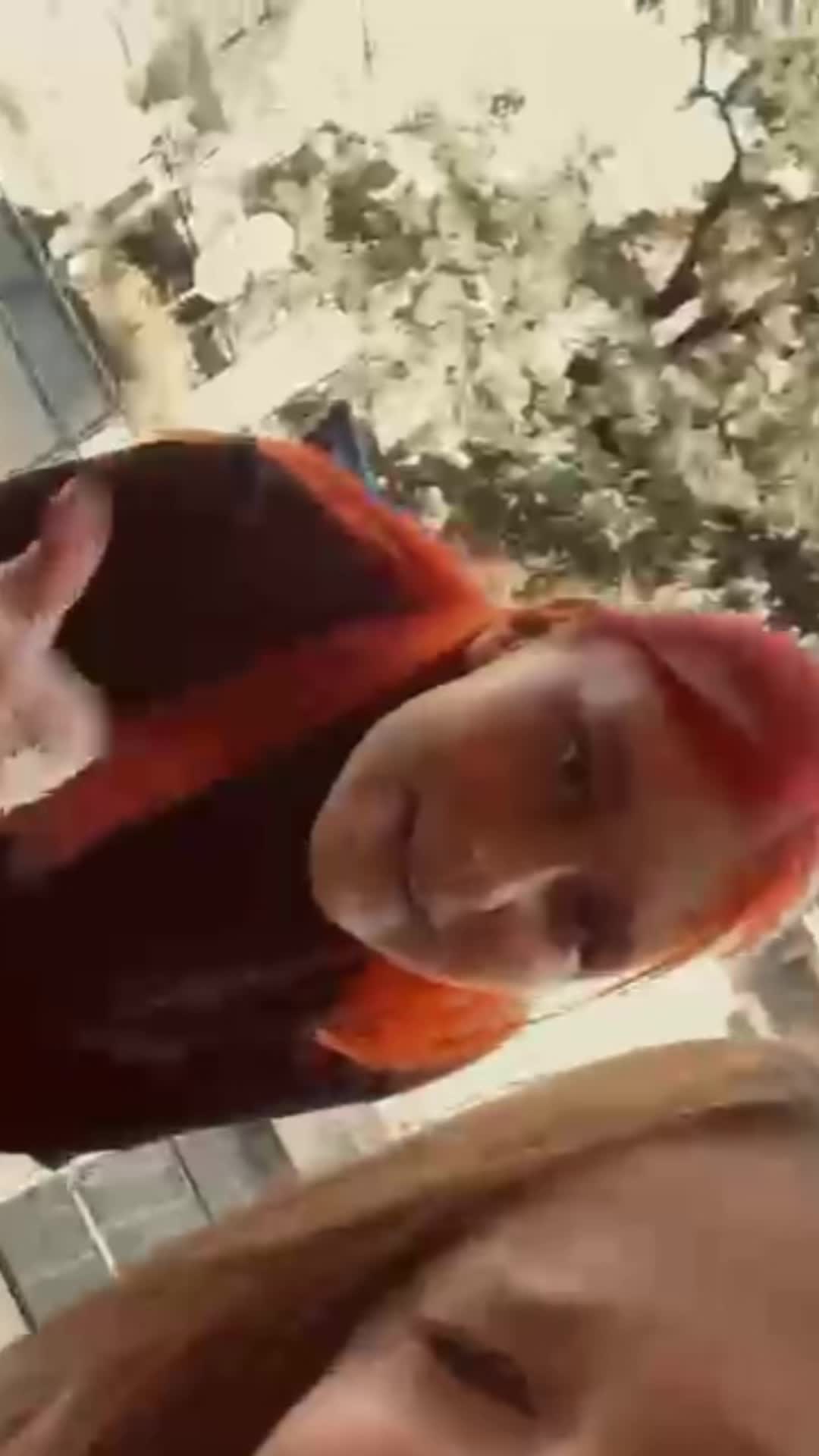 @elli_mit_dem_i