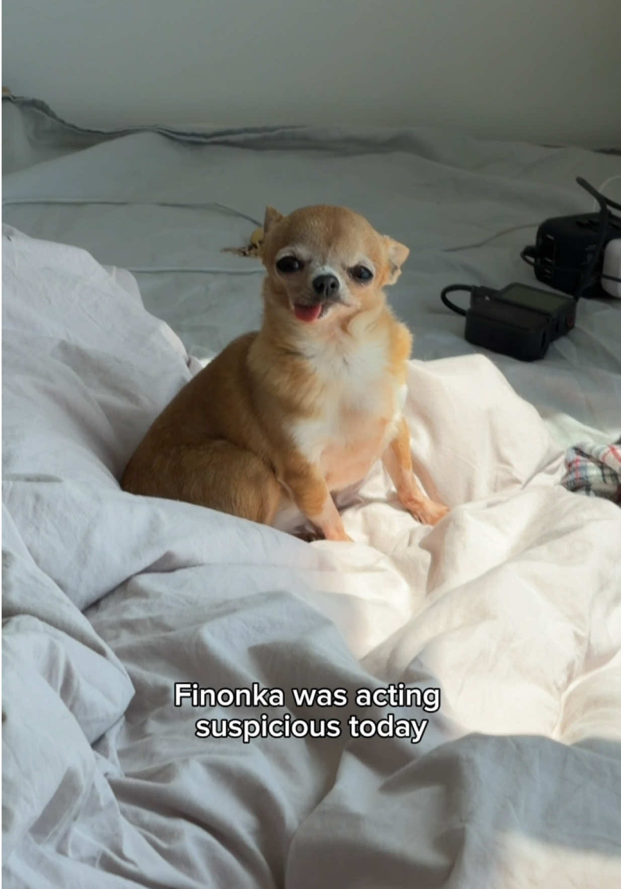 @finonka