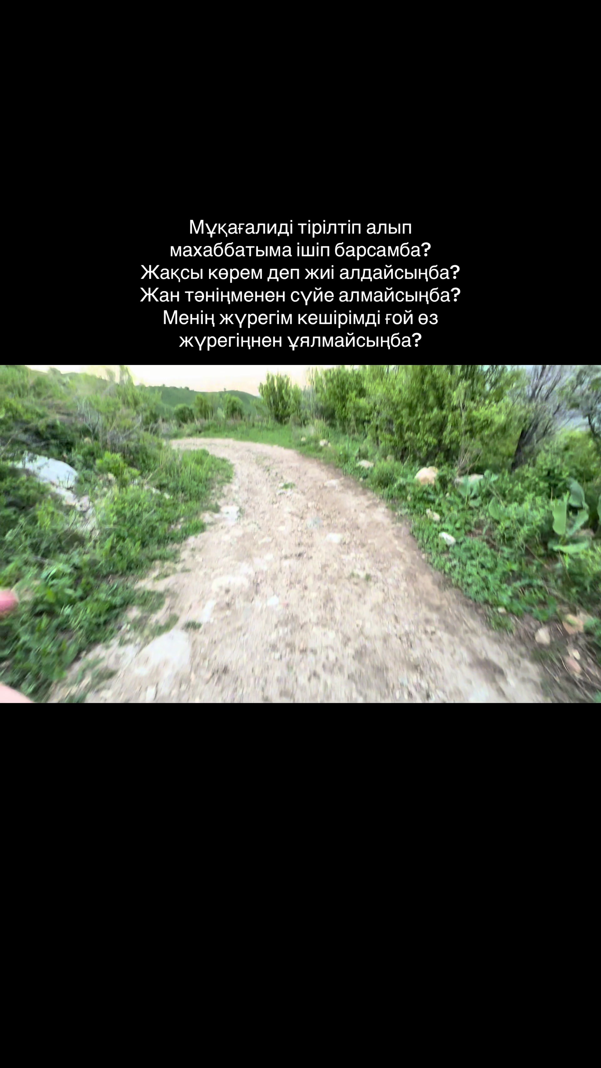 @danshomyn 🙋🏻&zwj;♂️