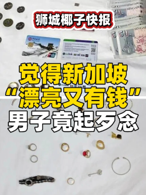 @新加坡狮城椰子