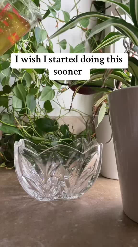 @TheNaturalHome