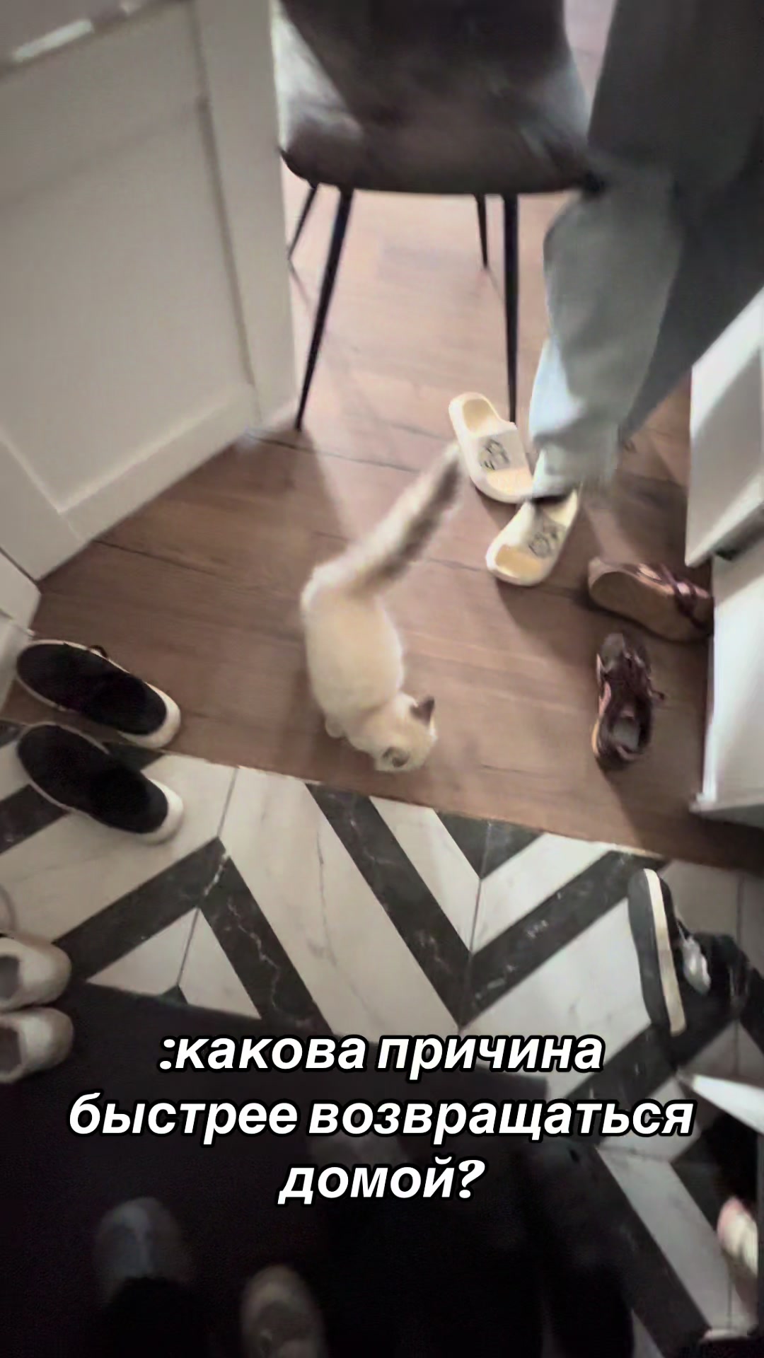 @миланч