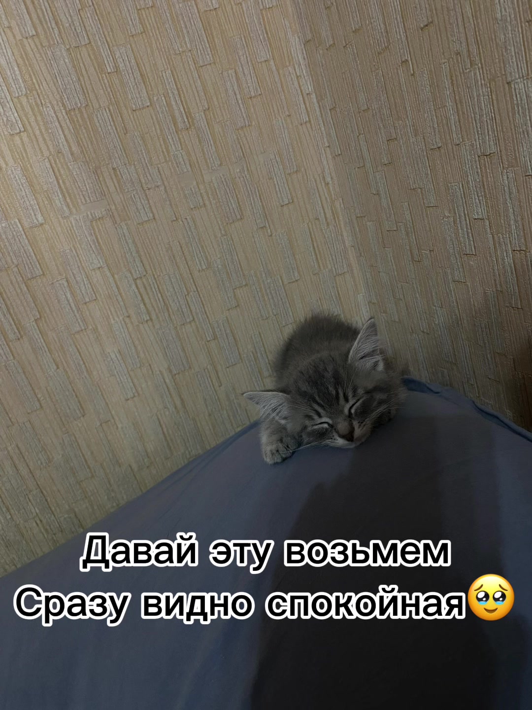 @ИЗИК