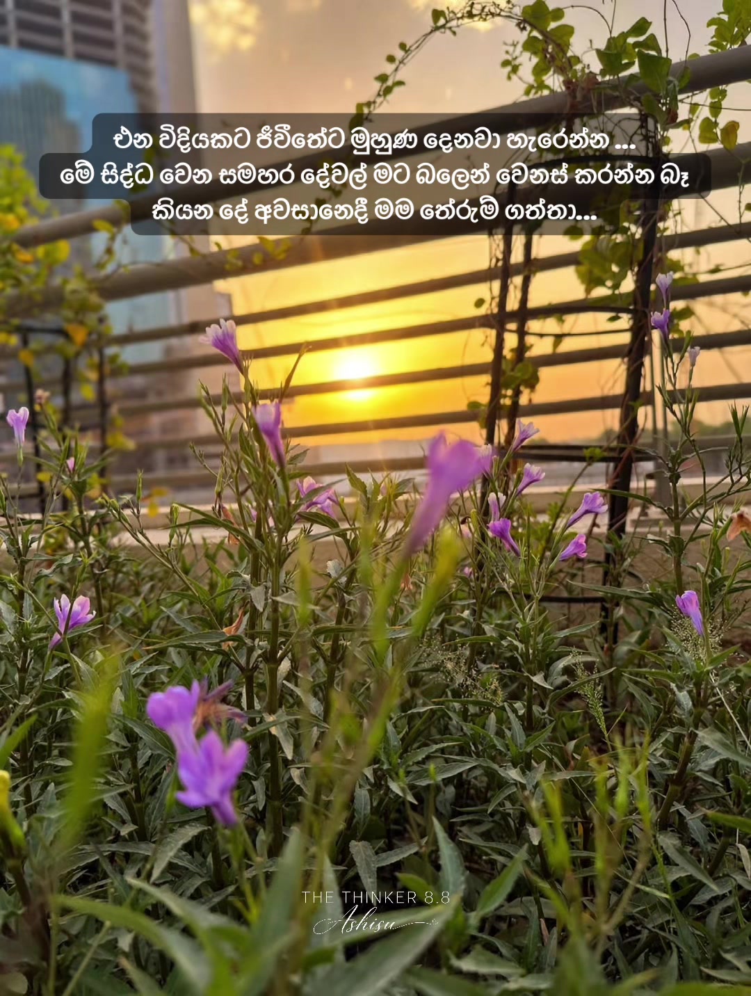@asanthiraja33
