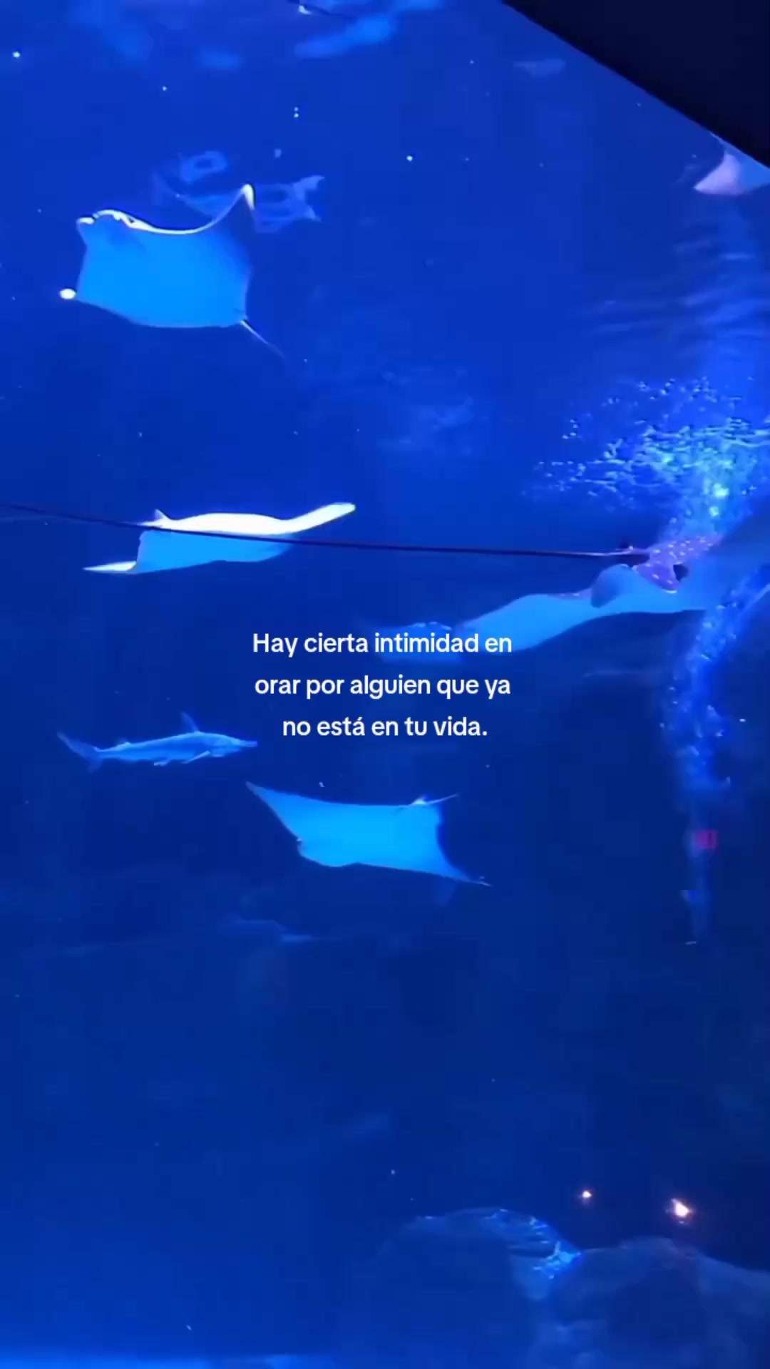 @Mariana