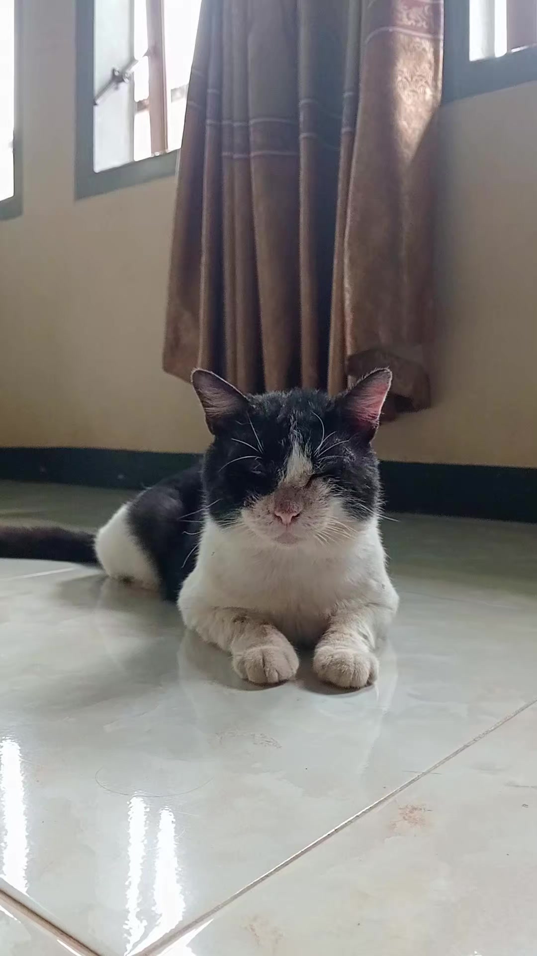 @Rizqi