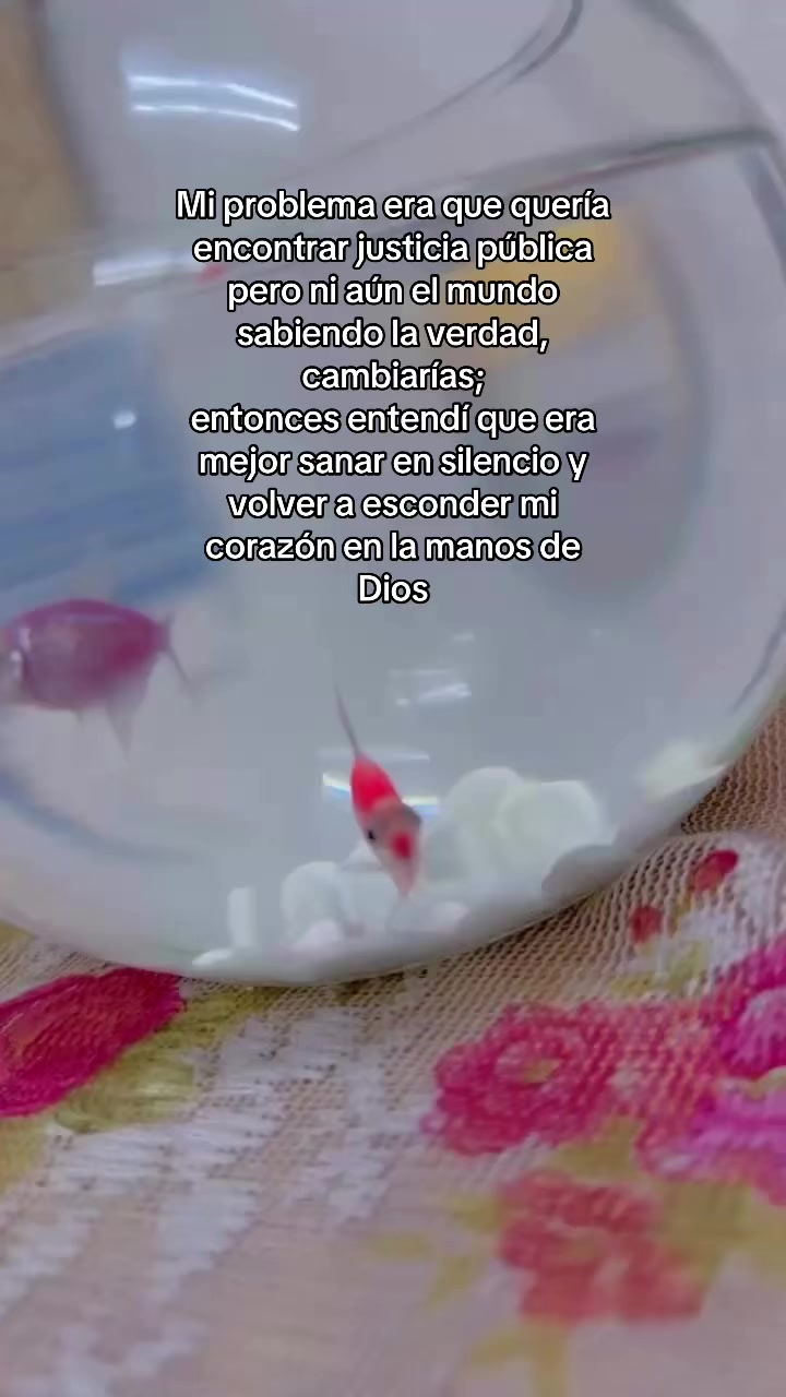 @Hija del Dueño