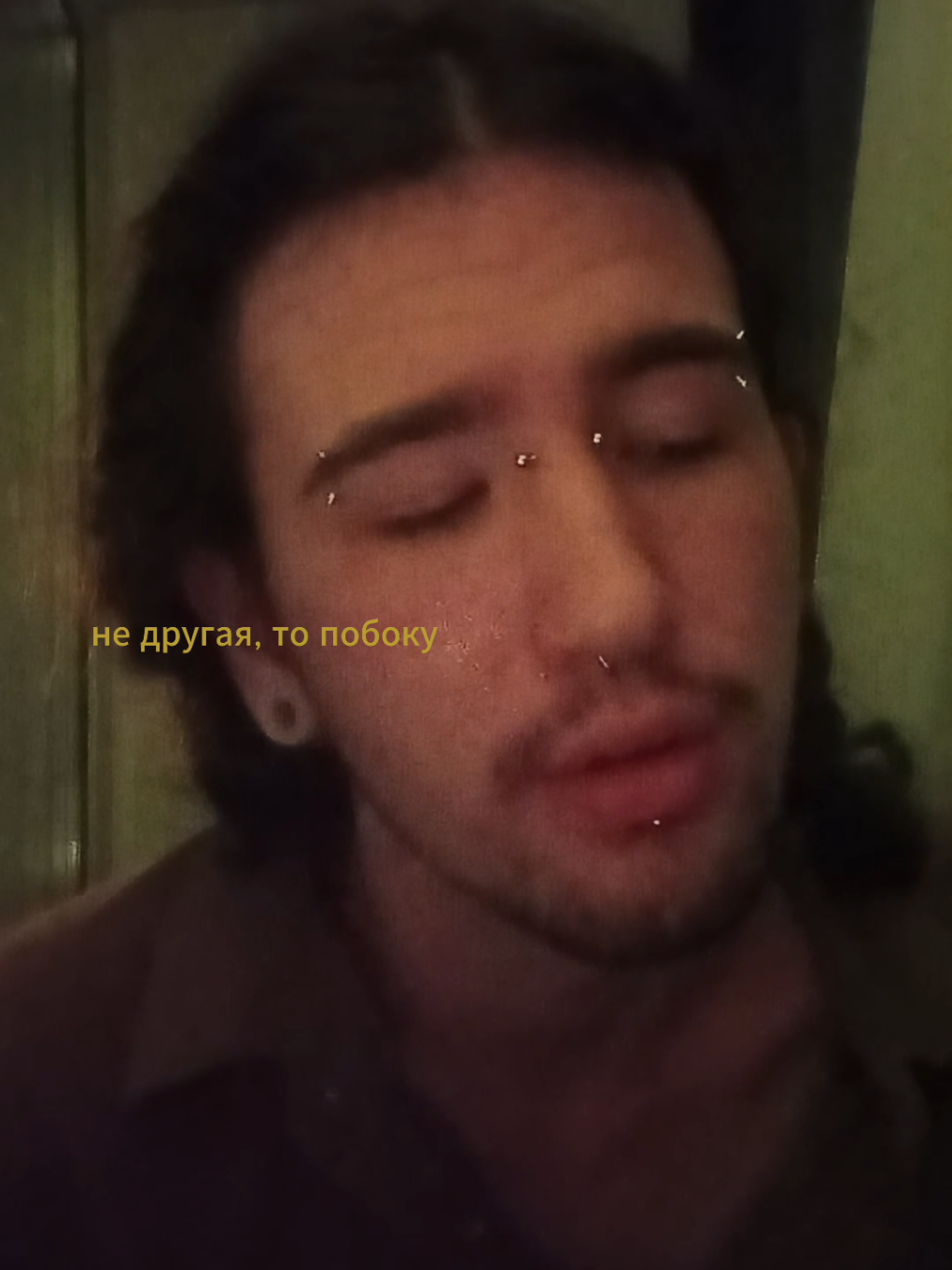 @тыща бродячих собак
