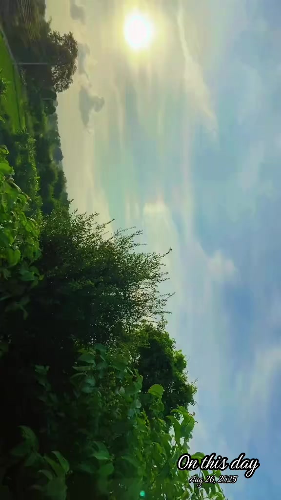 @Q&uuml;&euml;&euml;&ntilde;🦢✨🦚