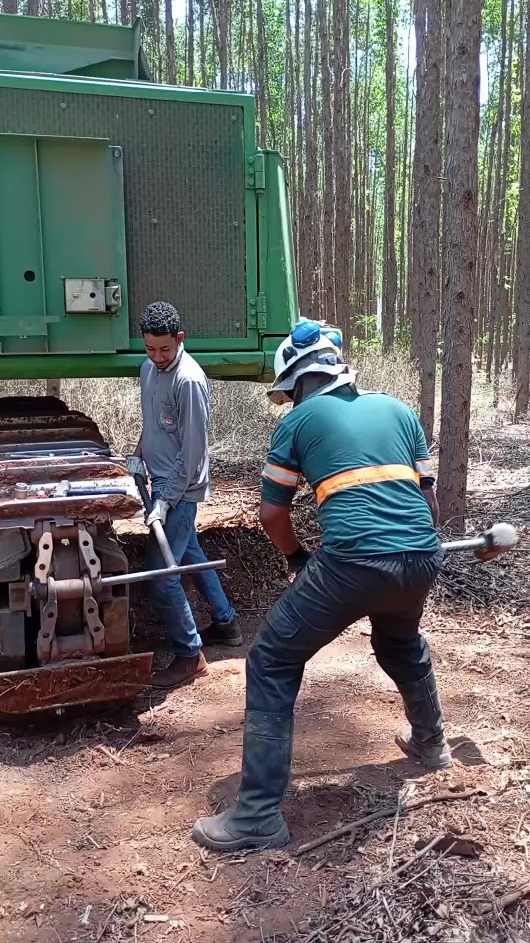 @🌲OperadorFlorestal🪵Ernandes.