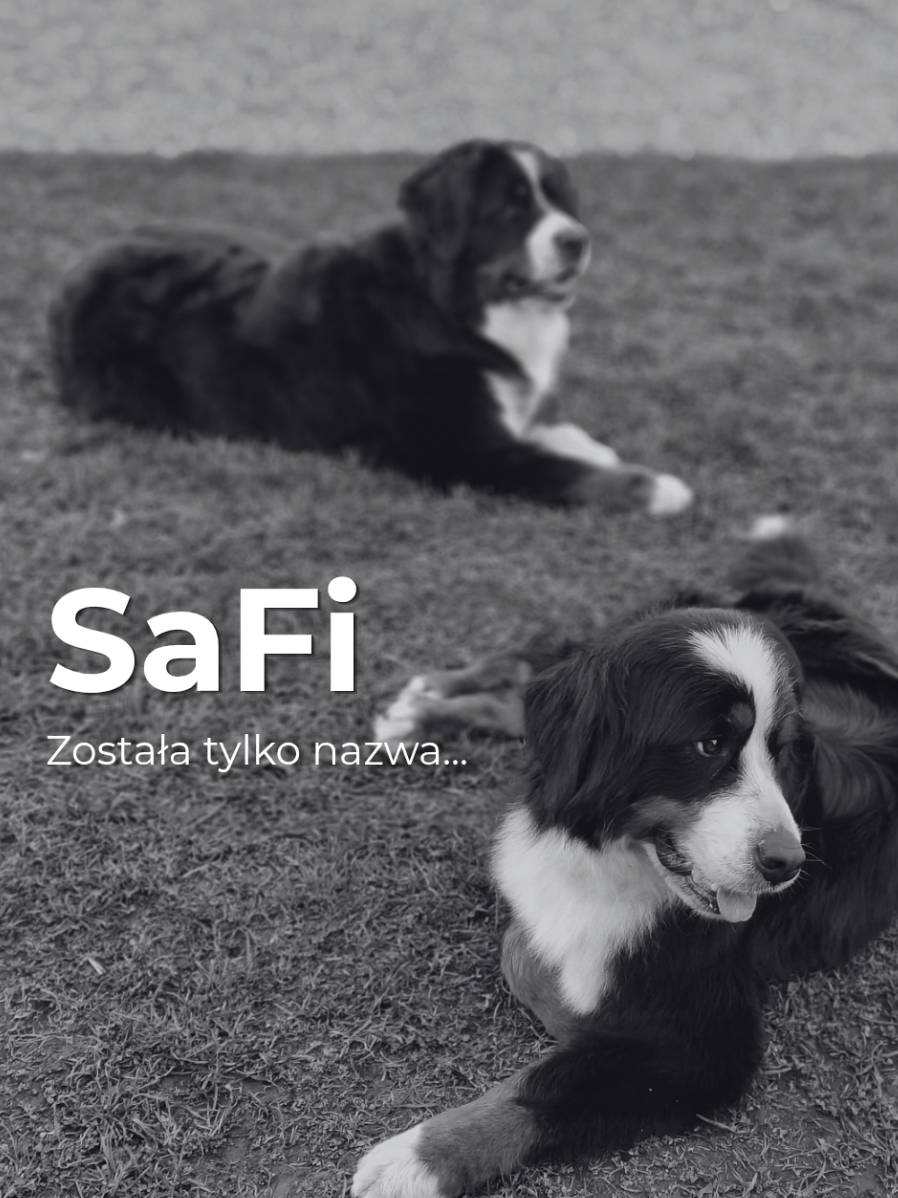 @SaFi.sklep