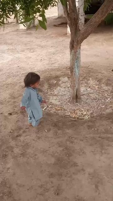 @mukeshbheel501