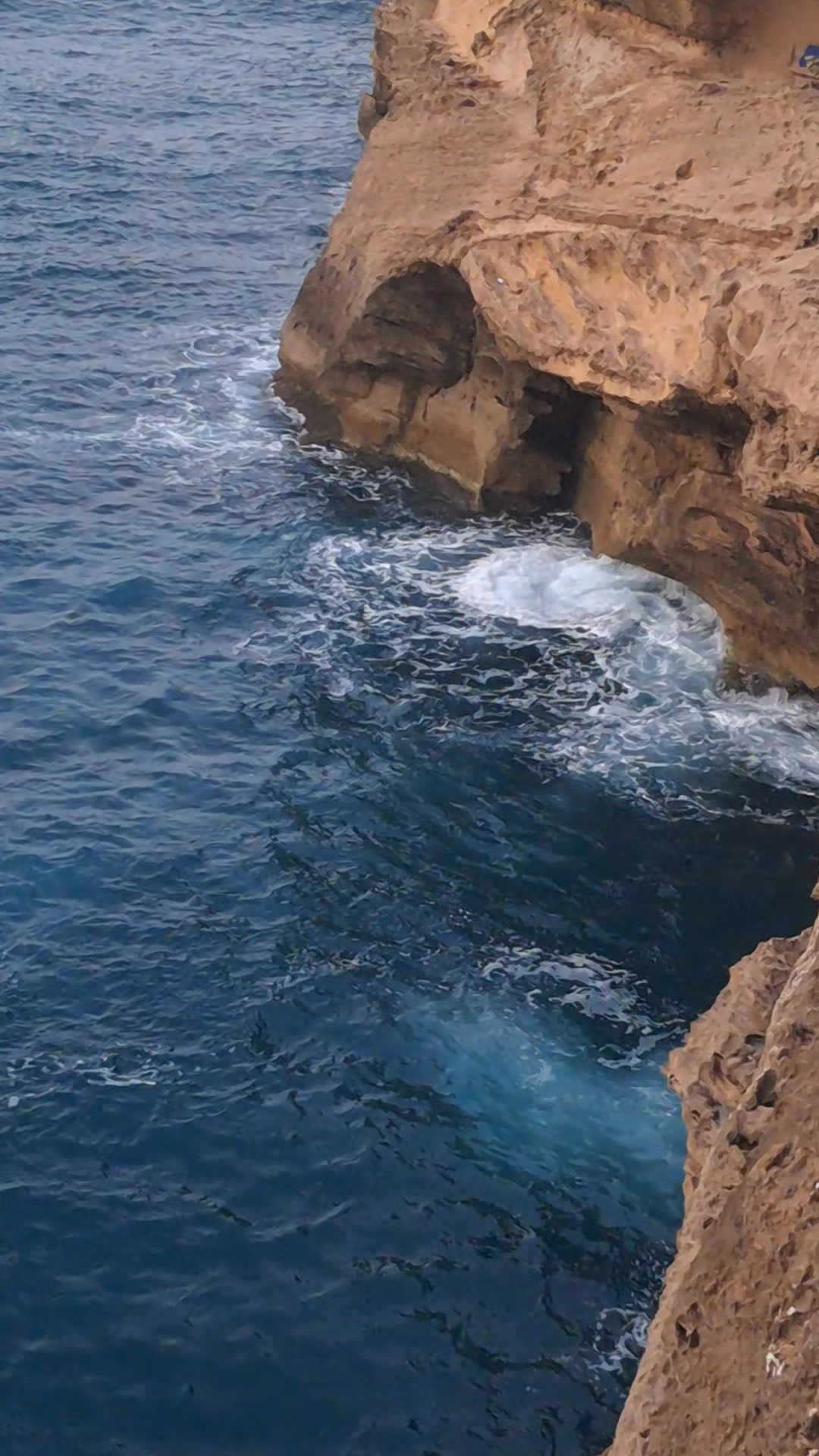 @moussamerzouki